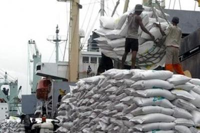 Gạo xuất khẩu cần trải qua công đoạn, tiêu chuẩn nào?