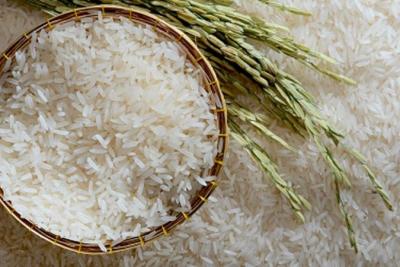 Gạo ST25 cùng những lợi ích cho sức khỏe mà bạn nên biết