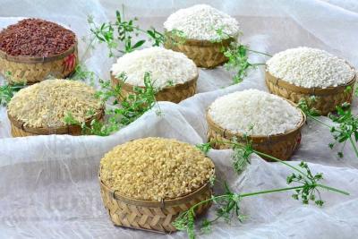 Nên chọn mô hình kinh doanh gạo online hay truyền thống?