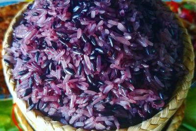 Gạo tẻ Nương Tím Tây Bắc có lợi ích gì với sức khỏe? Cách nấu gạo tẻ Nương Tím