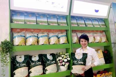 Cung cấp gạo nếp ngon nấu xôi tại An Giang và TPHCM