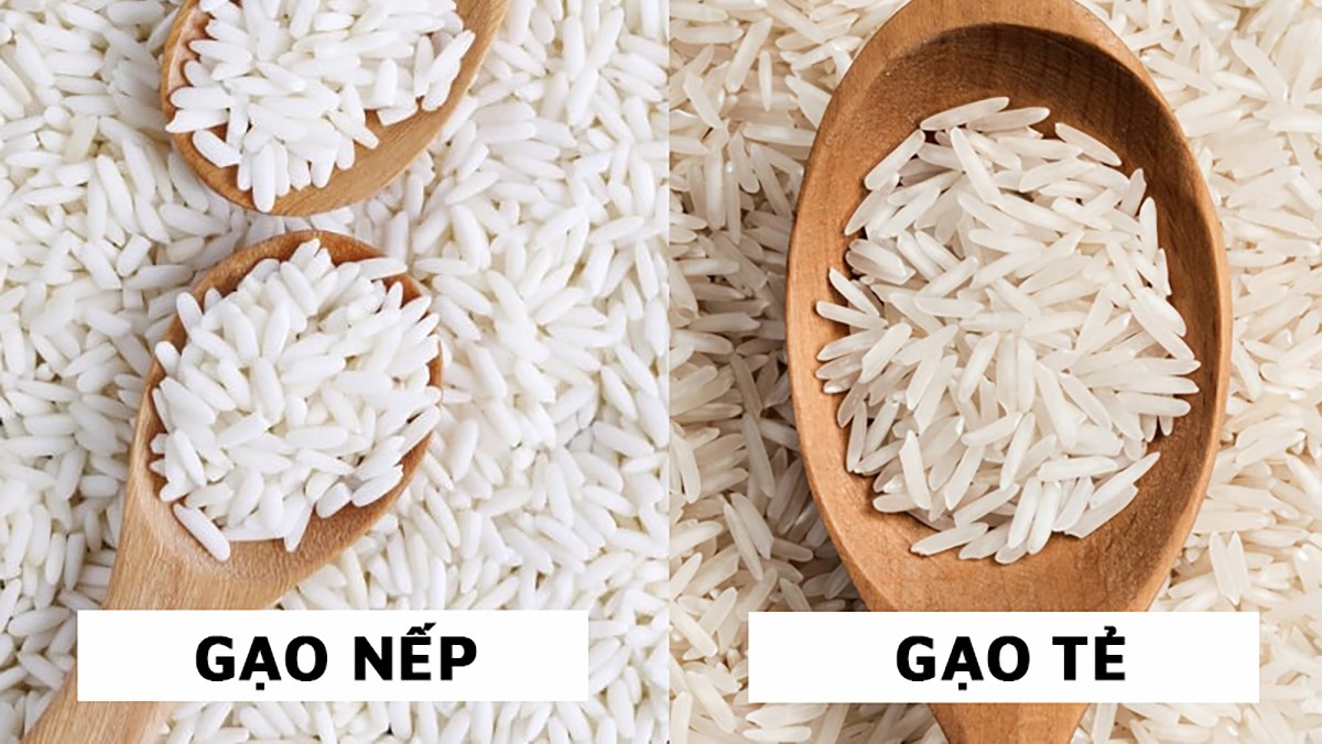 gạo nếp và gạo tẻ